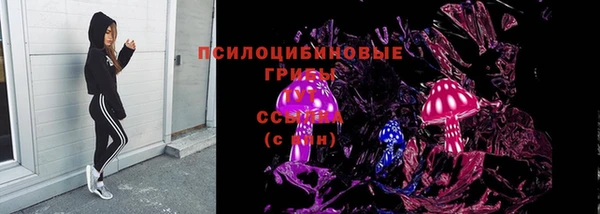 кокс Алексин