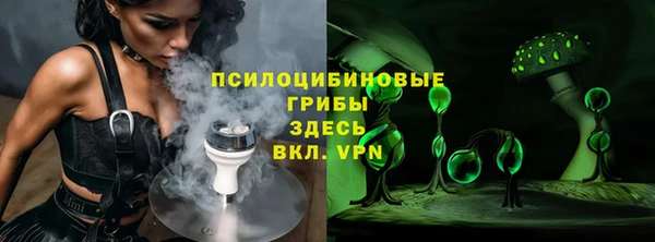 кокс Алексин
