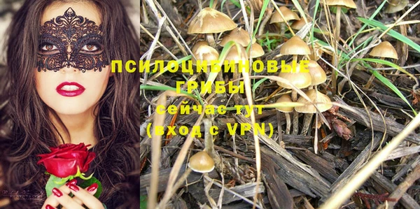 кокс Алексин